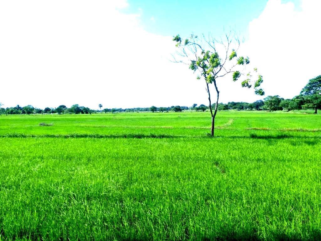 Athyantha Resort Anuradhapura Kültér fotó